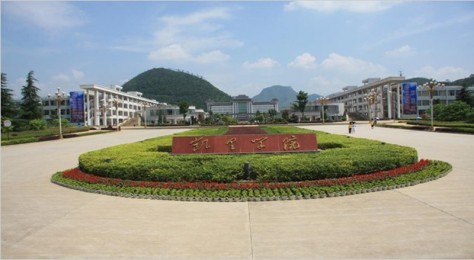 布劳恩电梯家用电梯别墅电梯自动扶梯观光电梯德国电梯品牌