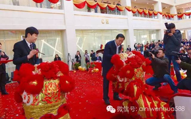 布劳恩电梯家用电梯别墅电梯自动扶梯观光电梯德国电梯品牌